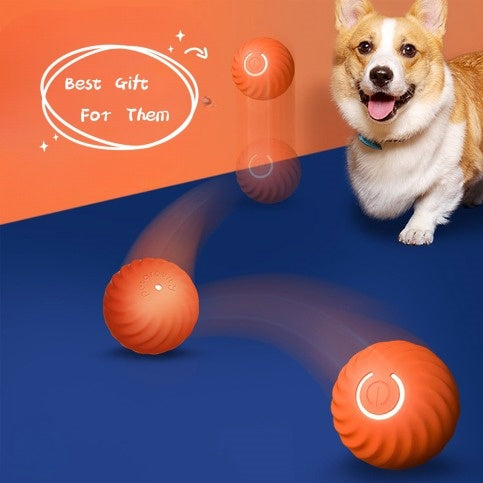 Pet Dog Rubber Ball Toys For Dogs Resistance To Bite