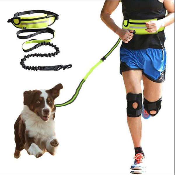 Dog Leash Pet Walking And Training Belt With Shock Absorbing Bungee Leash